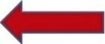 left red arrow
